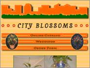 Old Site Design