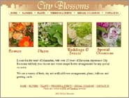 New Site Design